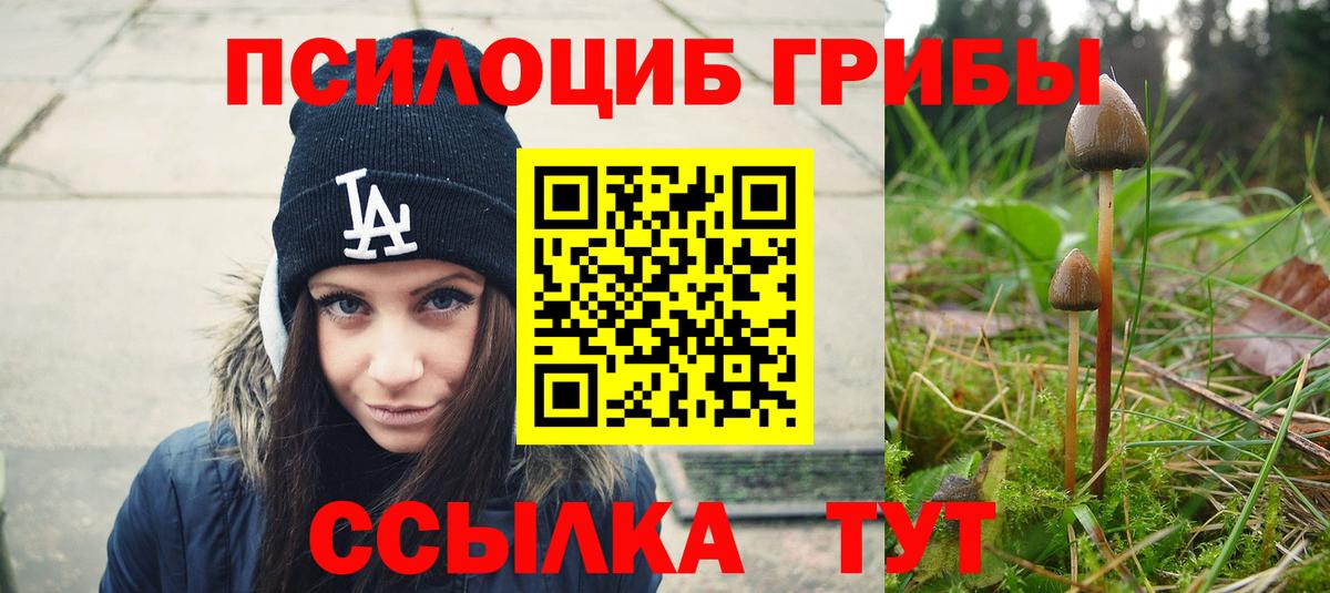 Аша  Псилоцибиновые грибы Psilocybine cubensis  Вход с VPN 